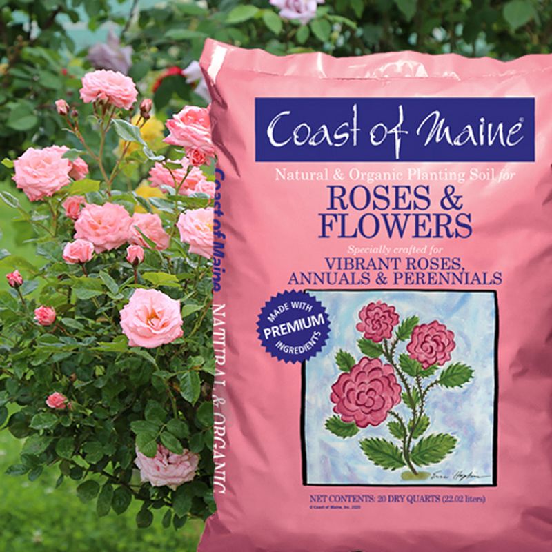 Coast of Maine CMSBO15 Stonington Blend Organic Growers Mix with All Natural Oceanic Ingredients for Planters and Pots, 1.5 Cubic Feet (2 Pack)