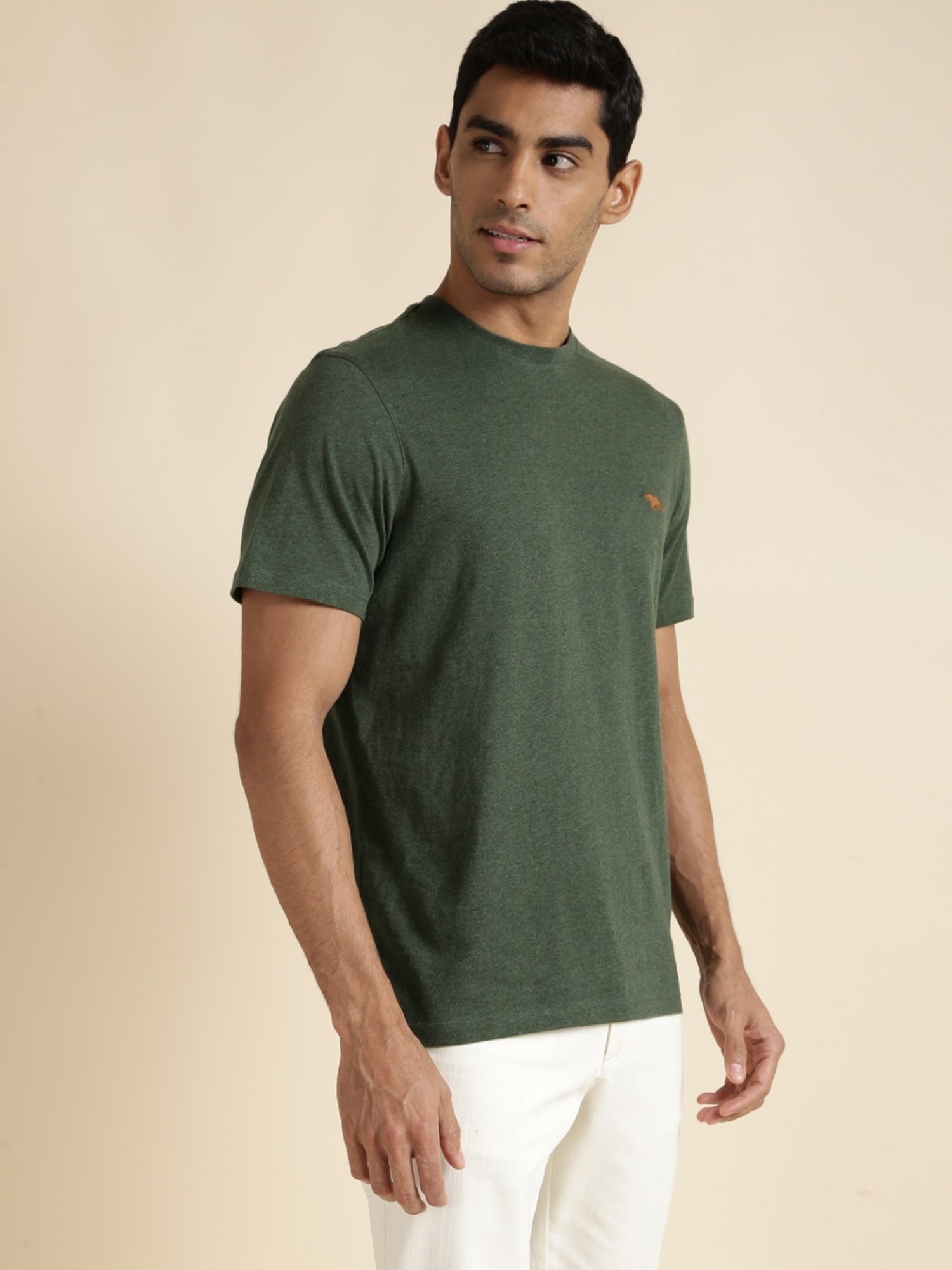 Andamen Olive Regular Fit T-Shirt