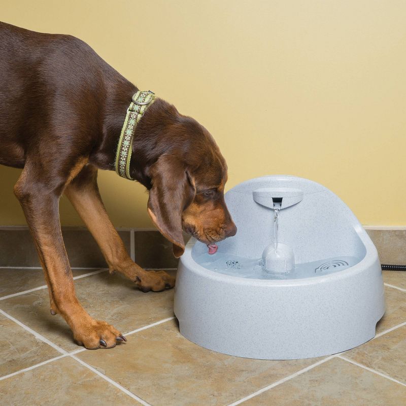 Pet Genius Smart Pet Fountain Filter - White