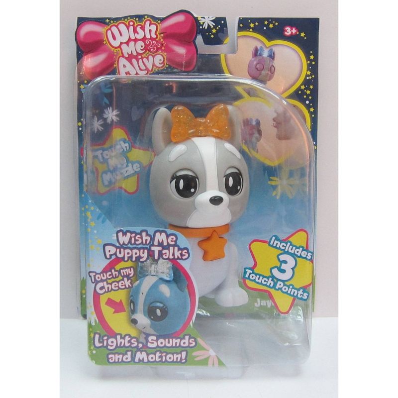 Wish Me Alive Gray Cavalier