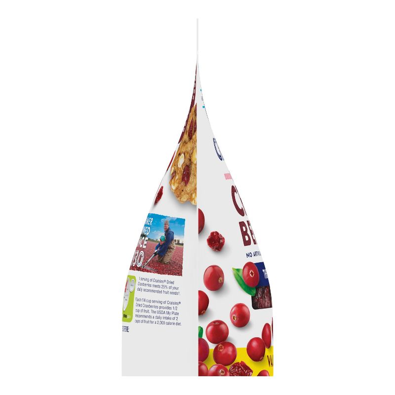 Organic Dried Unsweetened Tropical Blend - Banana, Mango & Pineapple - 4oz - Good & Gather™