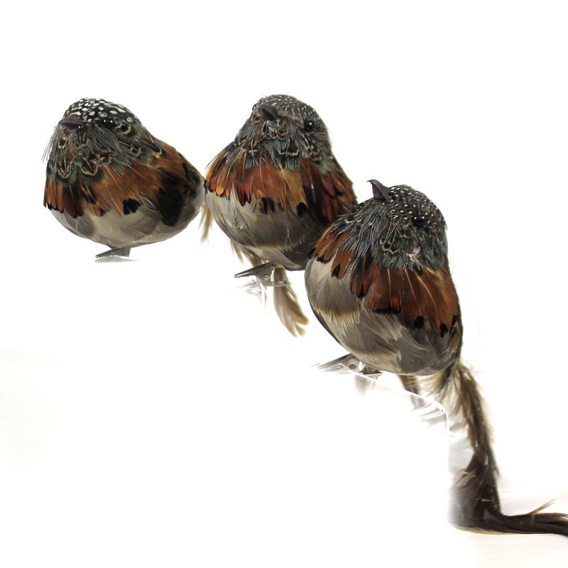 Holiday Ornament 3.0" Feathered Bird With Clip Speckles Head  -  Ornament Sets