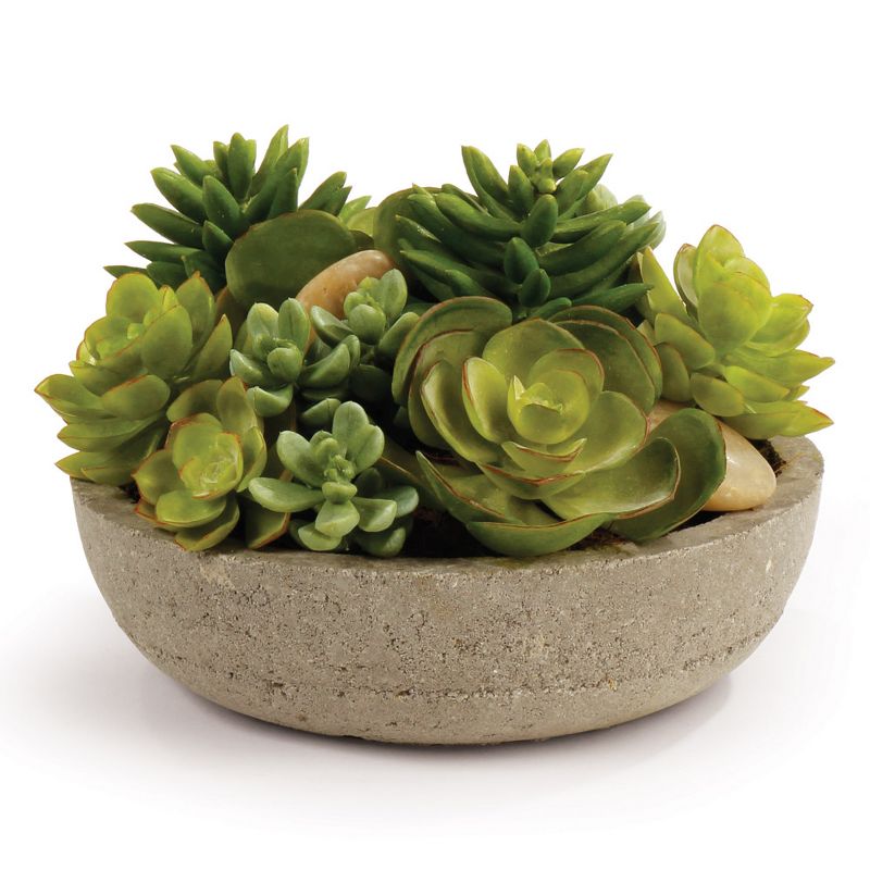Plum & Post Potted Mixed Faux (Fake) Succulents 6.5"
