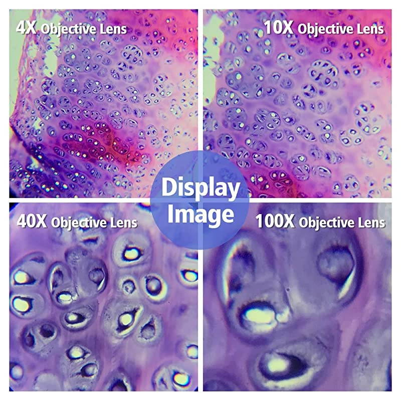 Microscope Compound 40X-1600X, LED Illumination, Double-Layer Mechanical Stage, Abbe Condenser