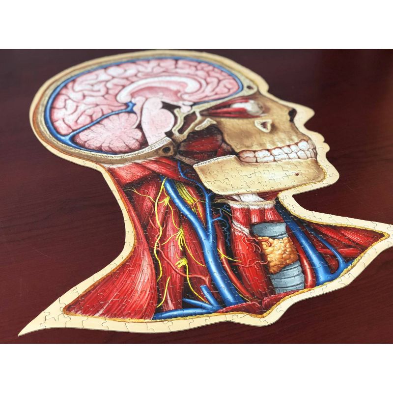 Genius Games Dr. Livingston's Human Anatomy: The Human Head Jigsaw Puzzle - 538pc