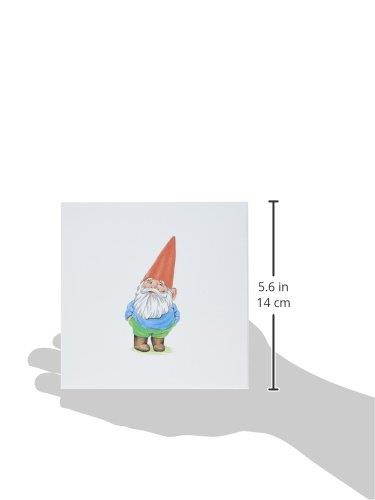 3dRose Set of 12 Greeting Cards, Garden Gnome Cartoon (gc_123988_2)