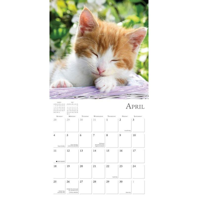 Sellers Publishing, 2021 Outlander 16-Month Wall Calendar