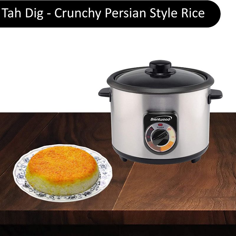 Brentwood TS-1020S 700 Watt 20 Cup Persian Style Crunchy Tahdig Scorched Rice Cooker with 60 Minute Timer, Silver