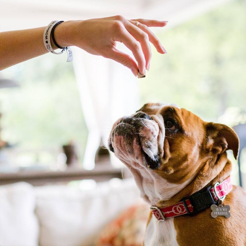 Buddy Biscuits Liver Puppy Training Treats - 7oz