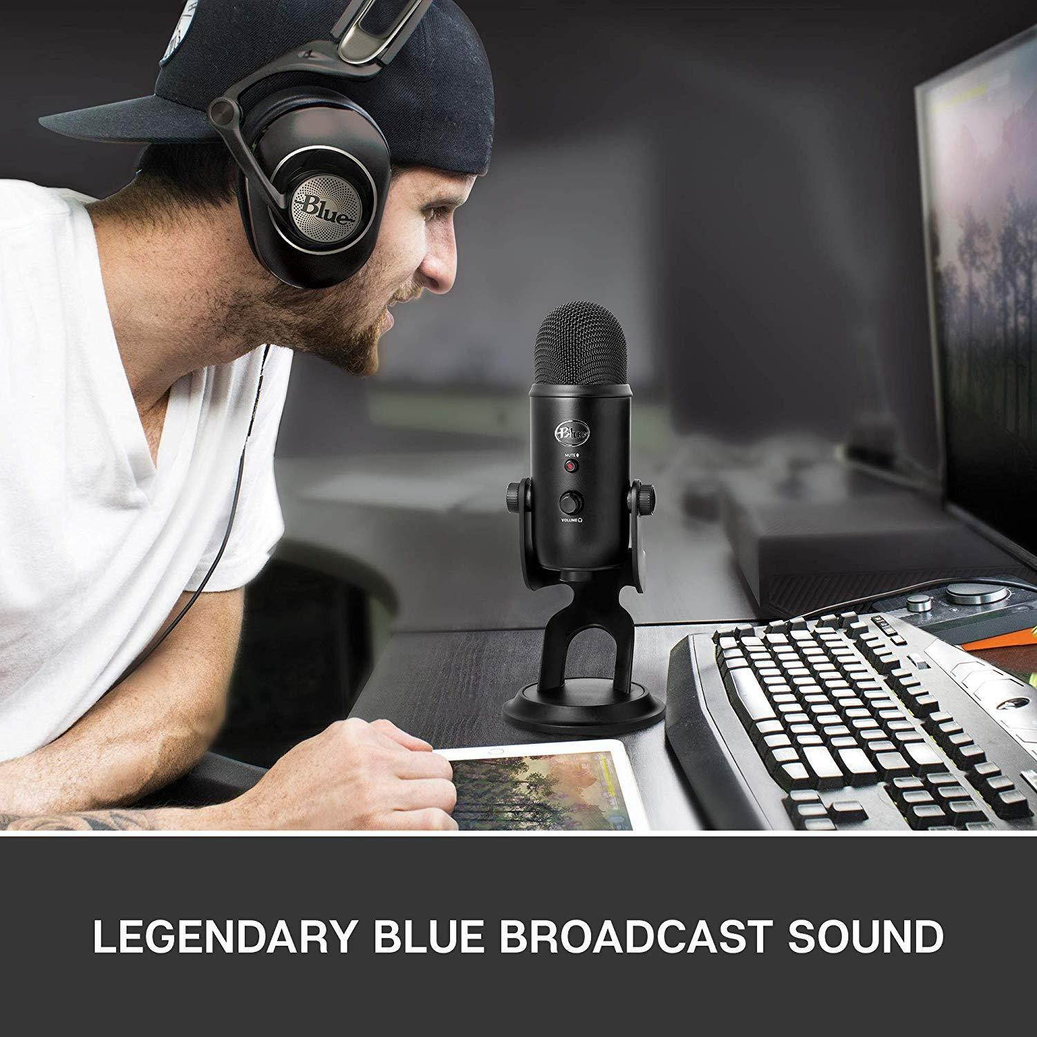 BLUE Condenser Microphone, Blackout, Mic Only (988-000100)