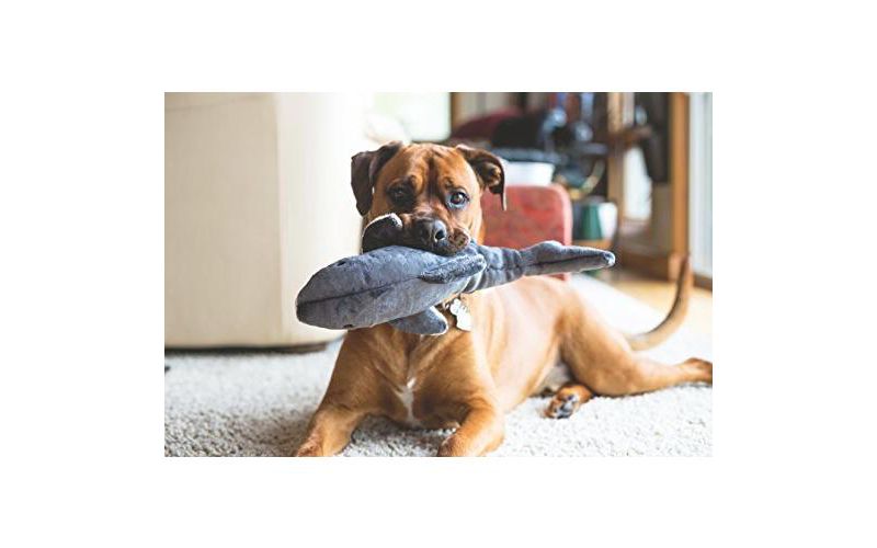 Fluff & Tuff Mac The Shark, Large Plush Dog Toy with Squeaker