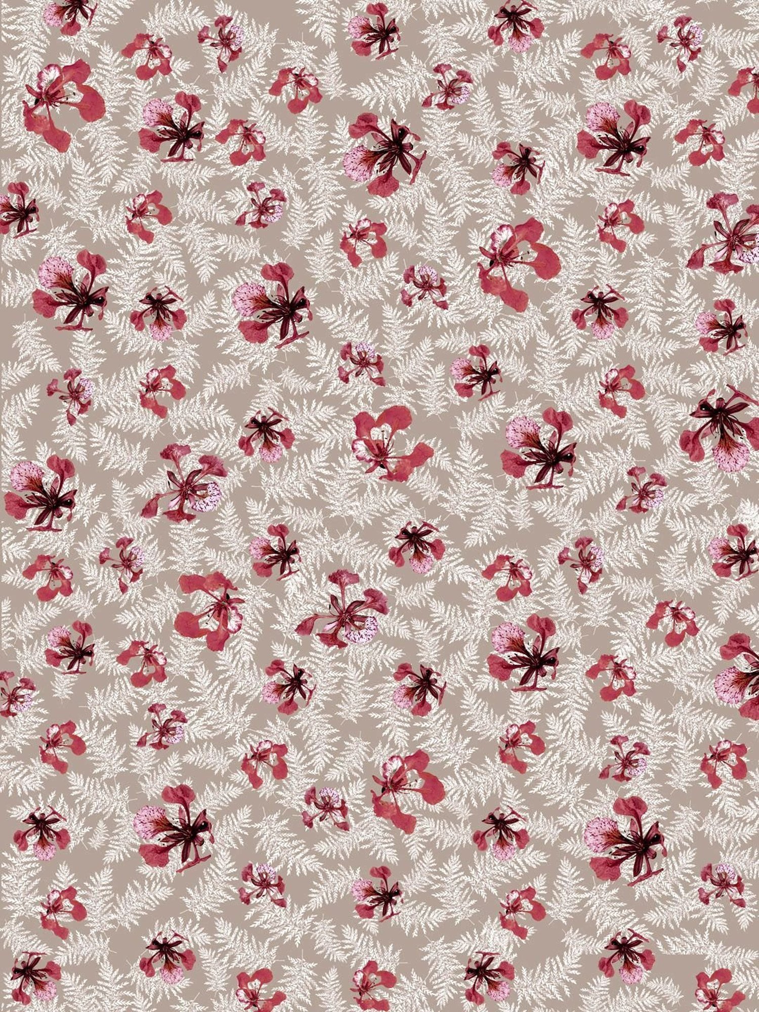 Petal Home Poinciana Floral Beige 300 TC Cotton Queen Size Bed Sheet with 2 Pillow Covers