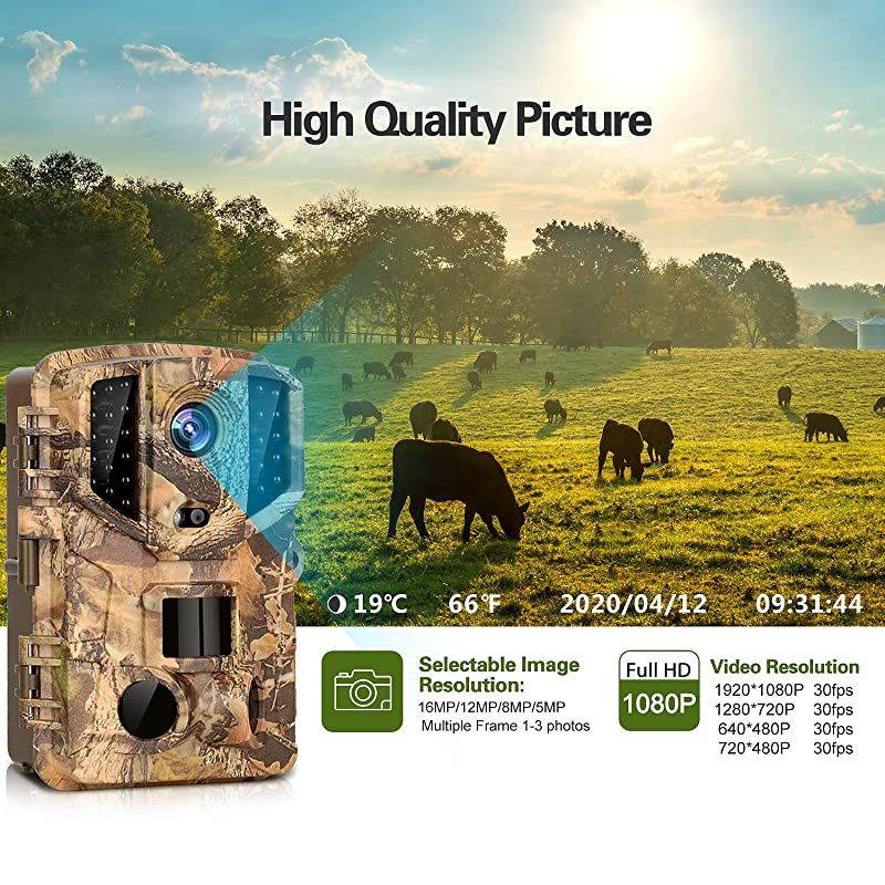 Trail Camera 16MP Full HD Night Vision 1080P Hunting Camera with 3 Infrared Sensors, Time Lapse and 0.2s Trigger Speed Wildlife Camera, Waterproof IP66