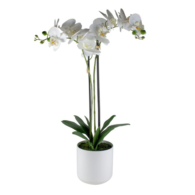 Raz Imports 29" White Blossom Artificial Potted Orchid Plant