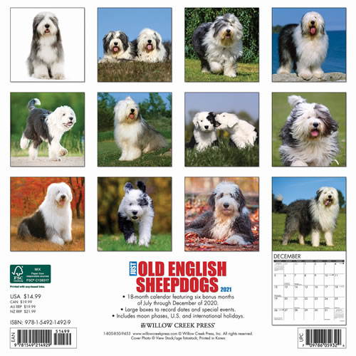 2021 Old English Sheepdogs Wall