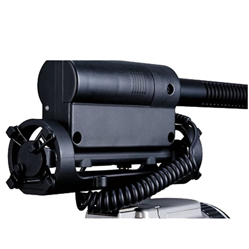 SGC598 Interview Microphone for NikonCanon CameraDV Camcorder