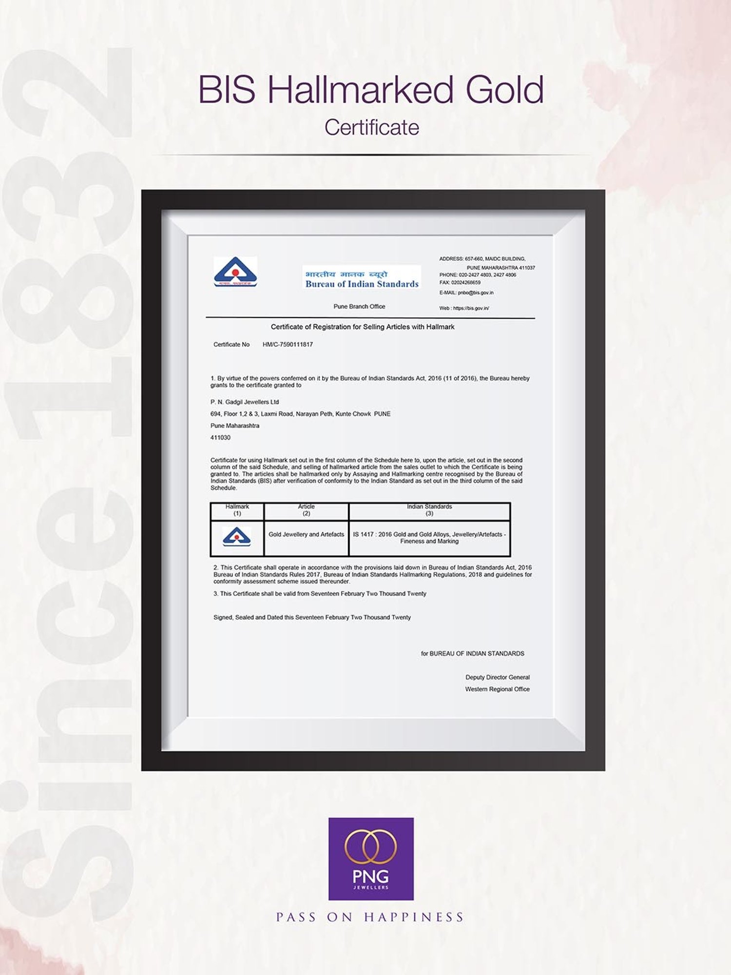 CKC Sacred Rudraksha Gold Pendant: Single Loop Elegance