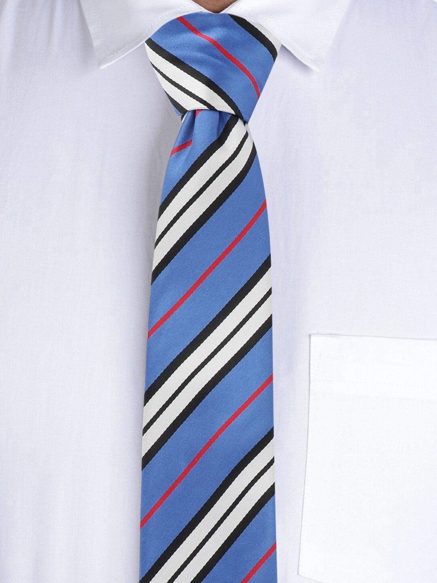 Alvaro Castagnino Blue Woven Tie