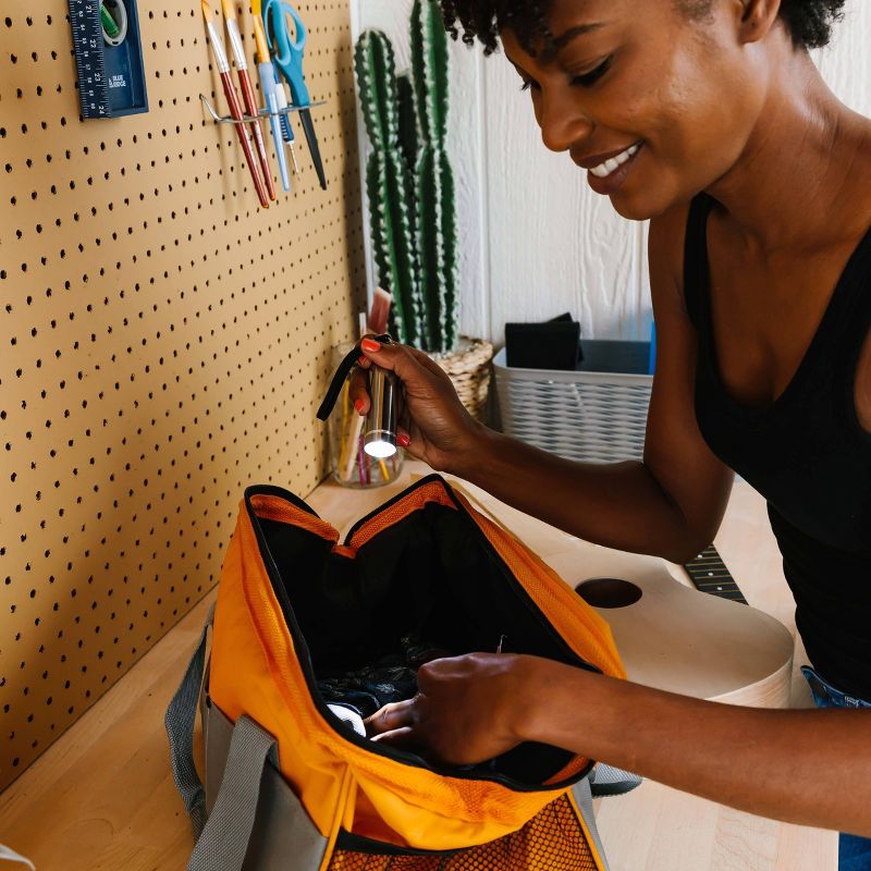 Blue Ridge Tools Flashlight LED Bulbs