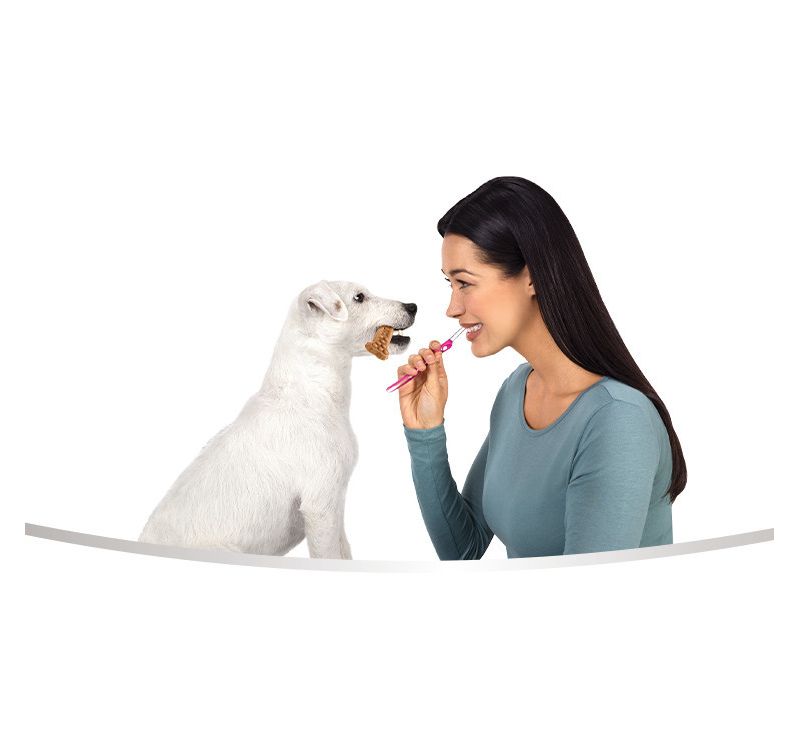 Milk-Bone Brushing Chews Chicken Dental Dog Treats - 48ct/18.9oz