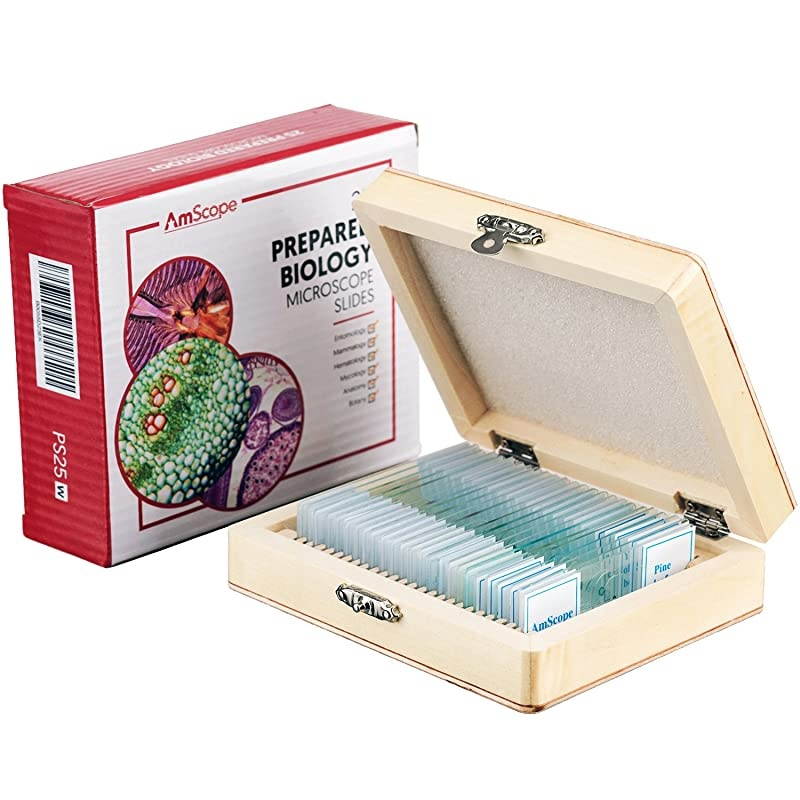 PS25 Prepared Microscope Slide Set for Basic Biological Science Education 25 Slides Includes Fitted Wooden Case