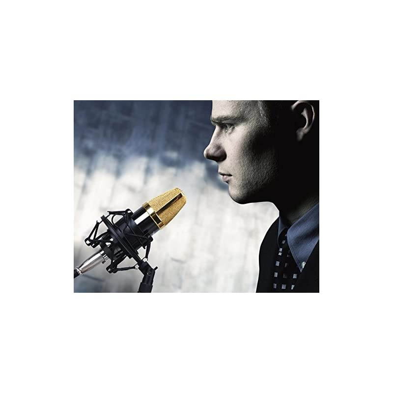 Universal 50MM Microphone Shock Mount for 48MM54mm Diameter Condenser Mic Black