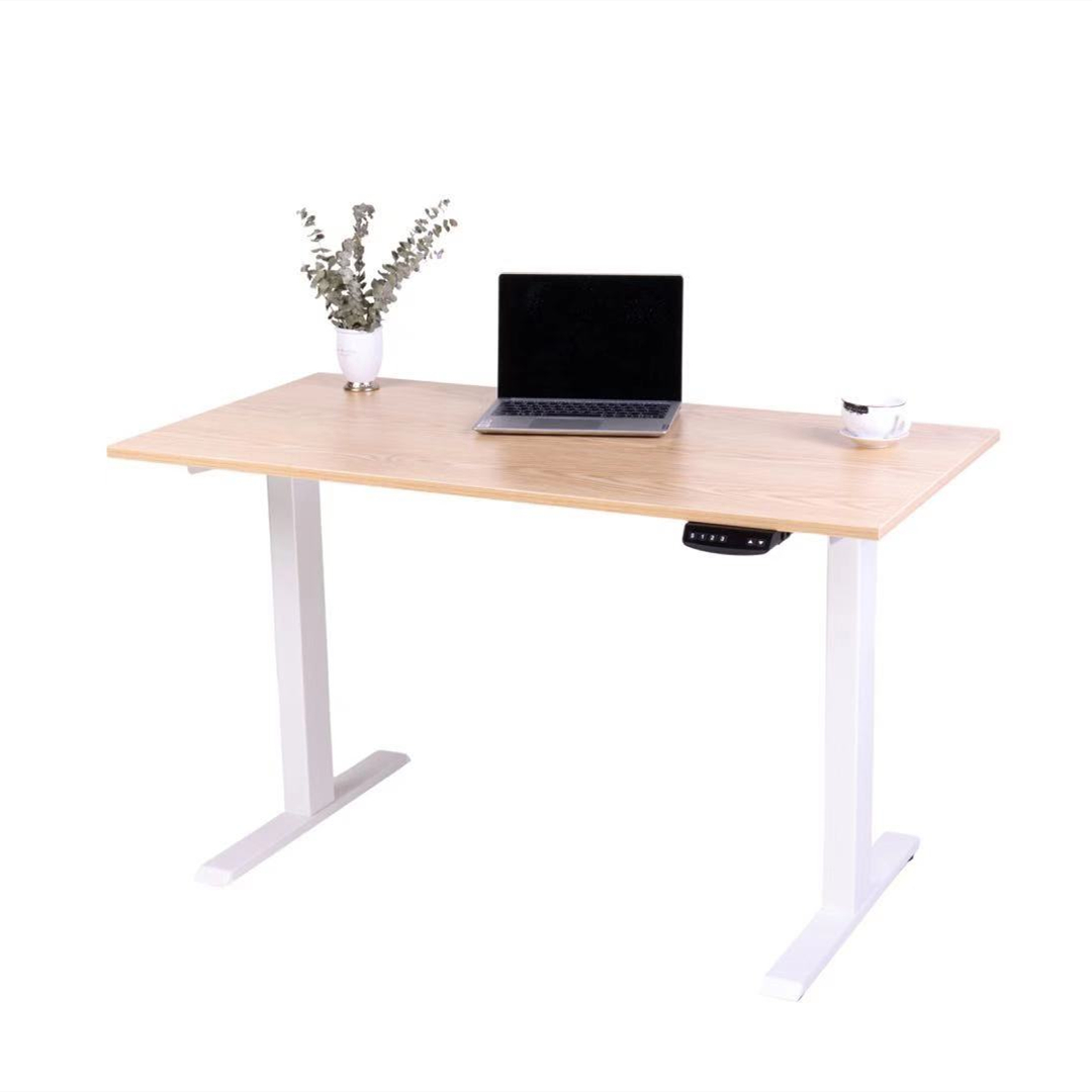 Electric Gaming Computer Desk Home Office Desk Height Adjustable Standing Desk With Dual German OKIN Motor White 47.2"Lx23.6"Wx28.3''-48''H