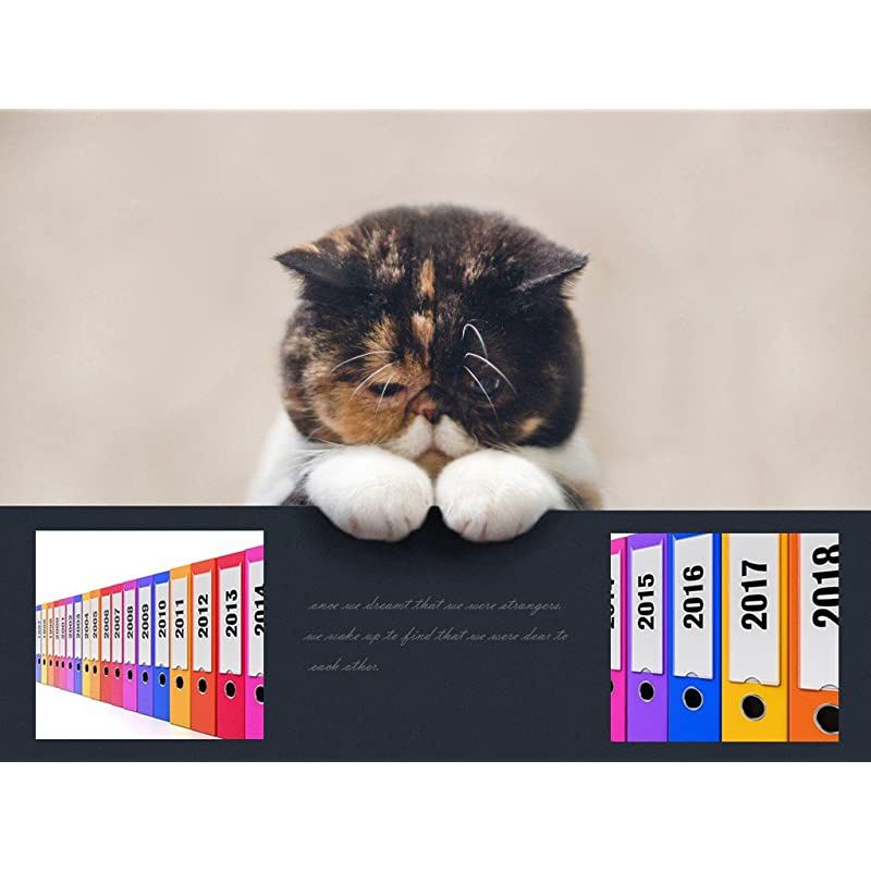 Compatible Label Tape Replacement for Brother PTouch 24mm TZe Tapes TZe151 TZe251 TZe451 TZe551 TZe651 TZe751 Laminated 1 Inch Label Maker Tape Use for Brother PTD600 PTP700 PTP750W 6PK