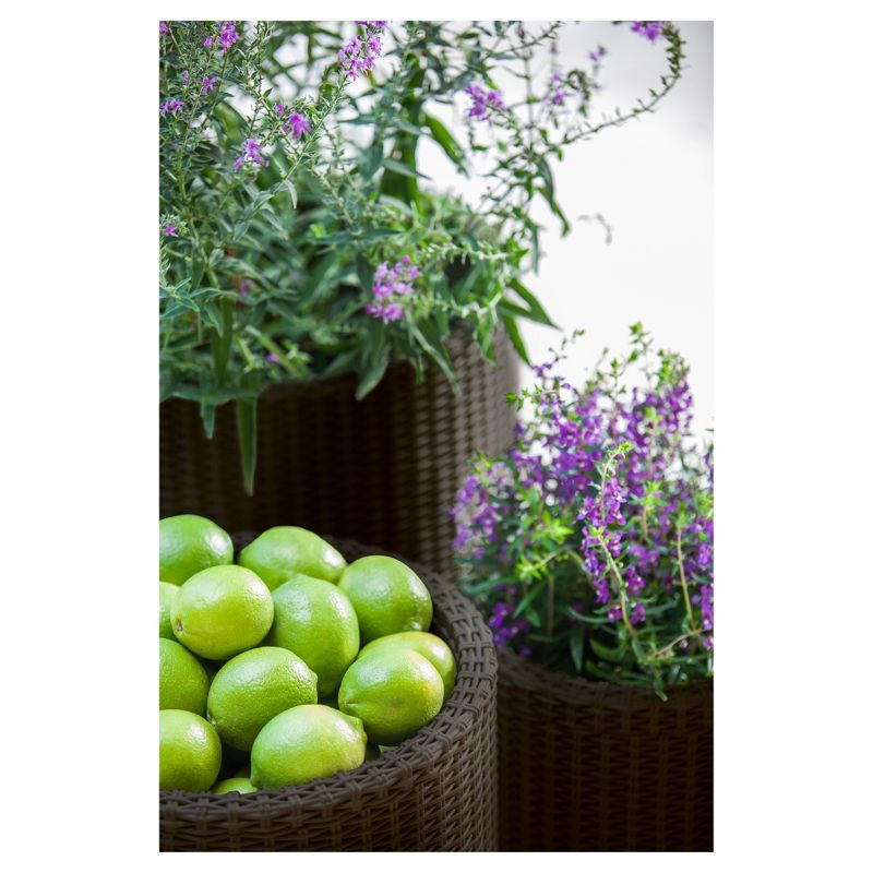 Cylinder Rattan Planter Set Of 3 - Brown - Keter