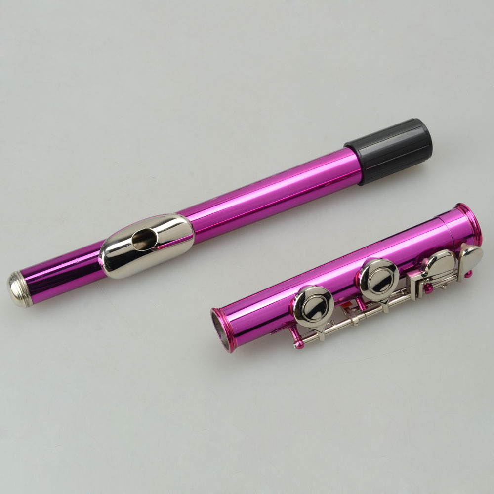 Standard Rose Red School Band Student 16 Closed C Flute with Case&Accessories