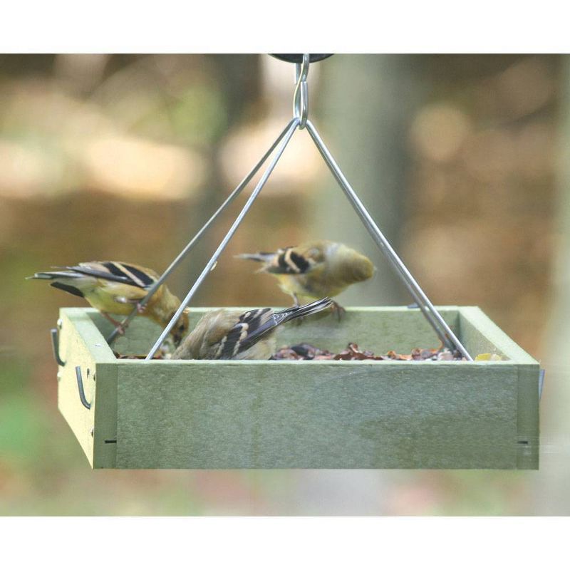 Birds Choice Hanging Tray Feeder, Small