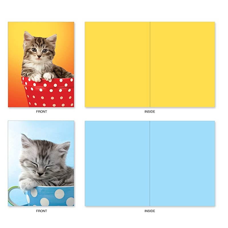 10 All Occasion Blank Cat Cards (4 x 5.12 Inch) - Cute Assorted Bulk Card Set - Cup-Cats M3969