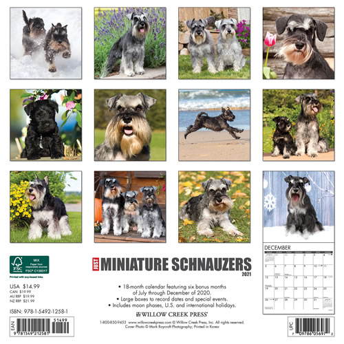2021 Miniature Schnauzers Wall