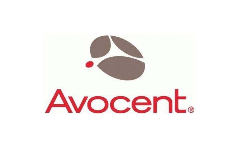 AVOCENT 12-foot 26-Pin to DisplayPort Target Cable - 12 ft, Single Display, DisplayPort, 2 x USB, AutoView KVM with CAC cable