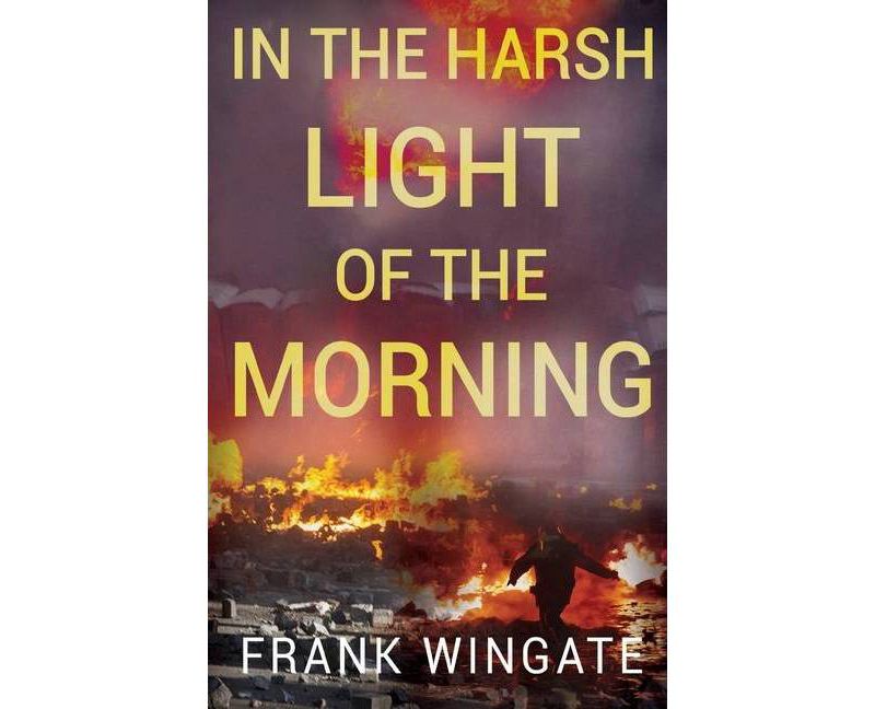 In the Harsh Light of the Morning - by  Frank Wingate (Paperback)