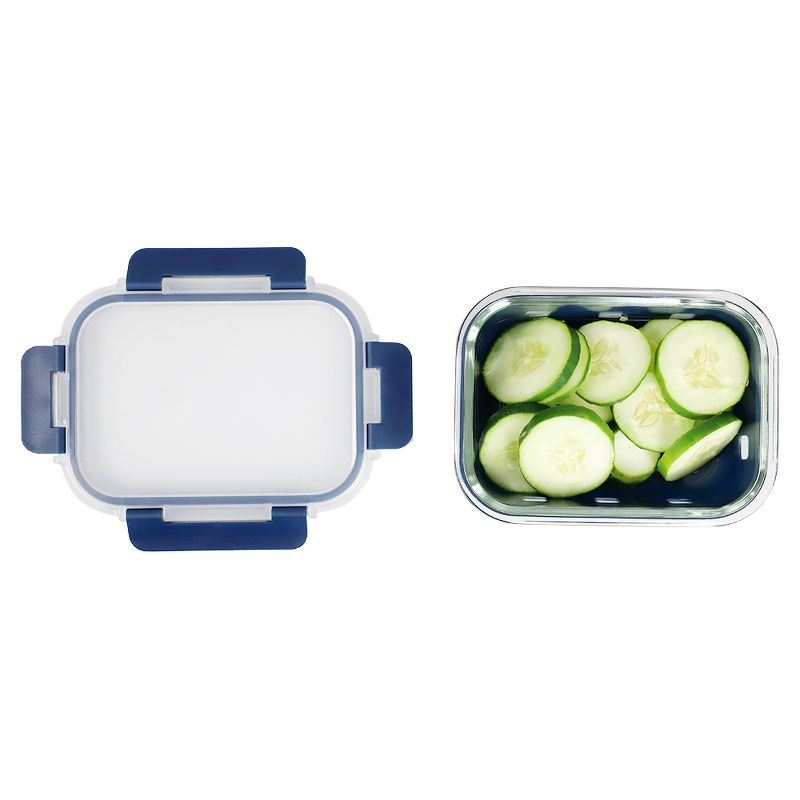 Michael Graves Design Rectangle Medium 21 Ounce High Borosilicate Glass Food Storage Container with Plastic Lid, Indigo