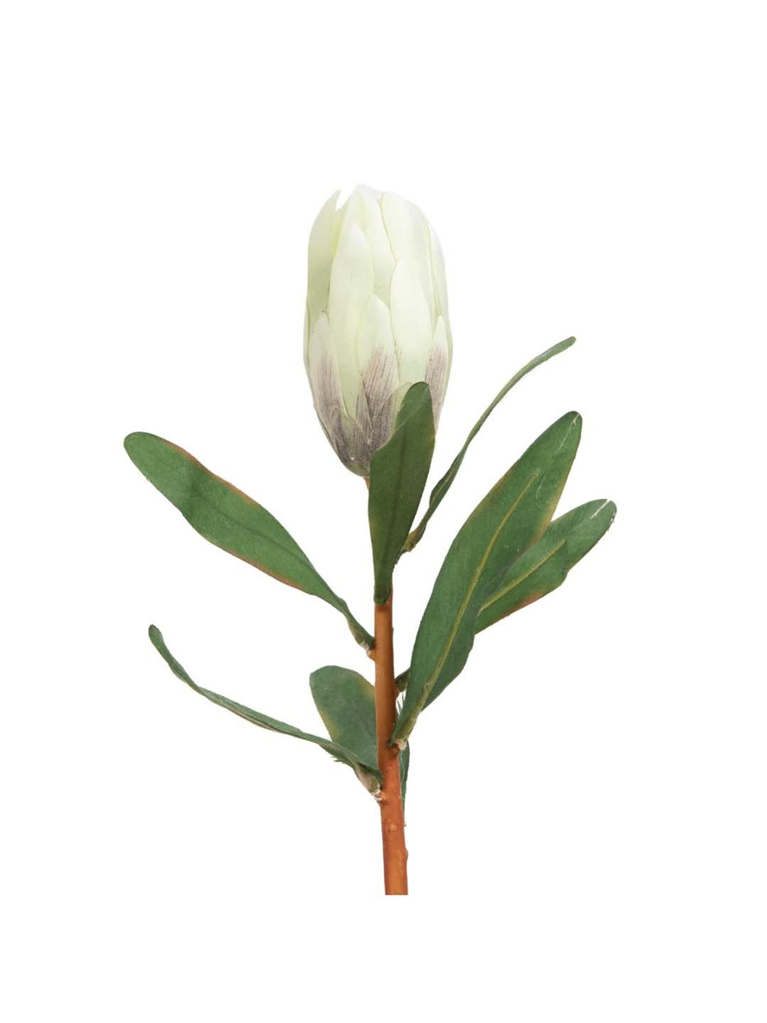 Mason Home Braided Grey Tissue Box