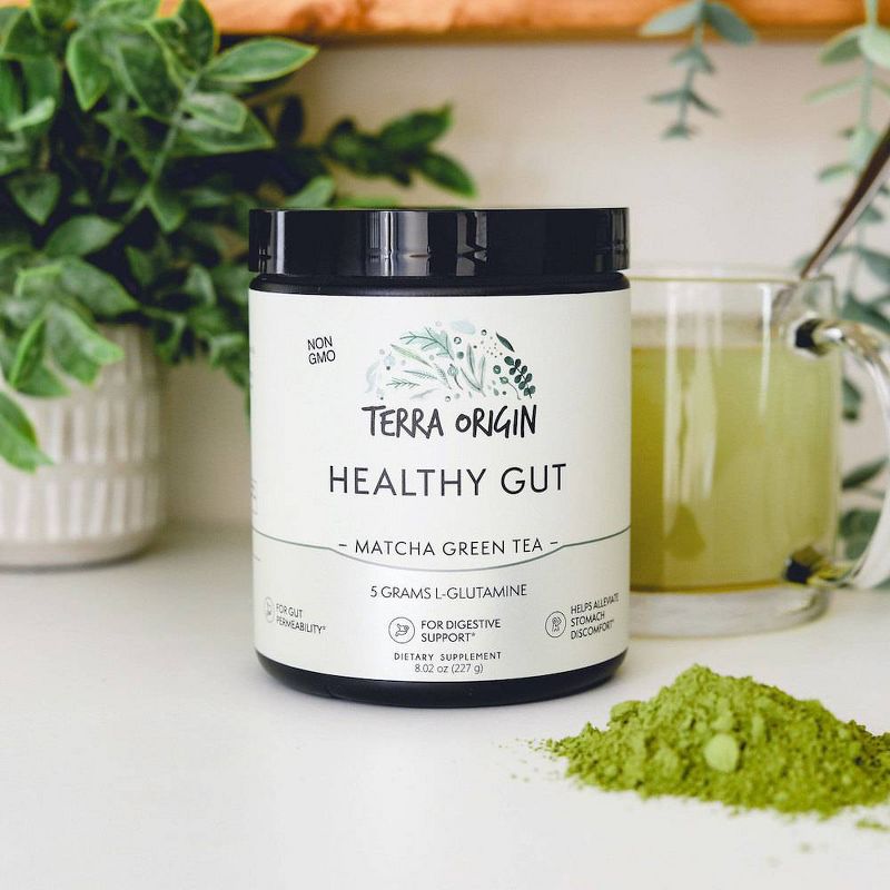 Terra Origin Healthy Gut - Matcha Green Tea - 8.02oz