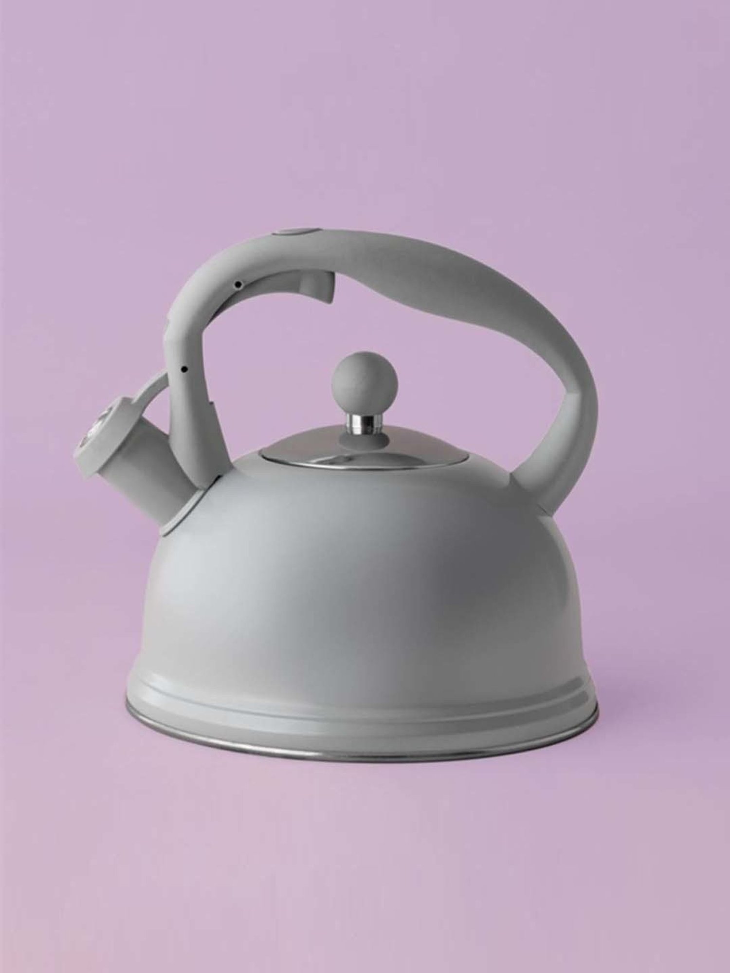 Typhoon Grey Stainless Steel Stove Top Kettle (1.8 L)