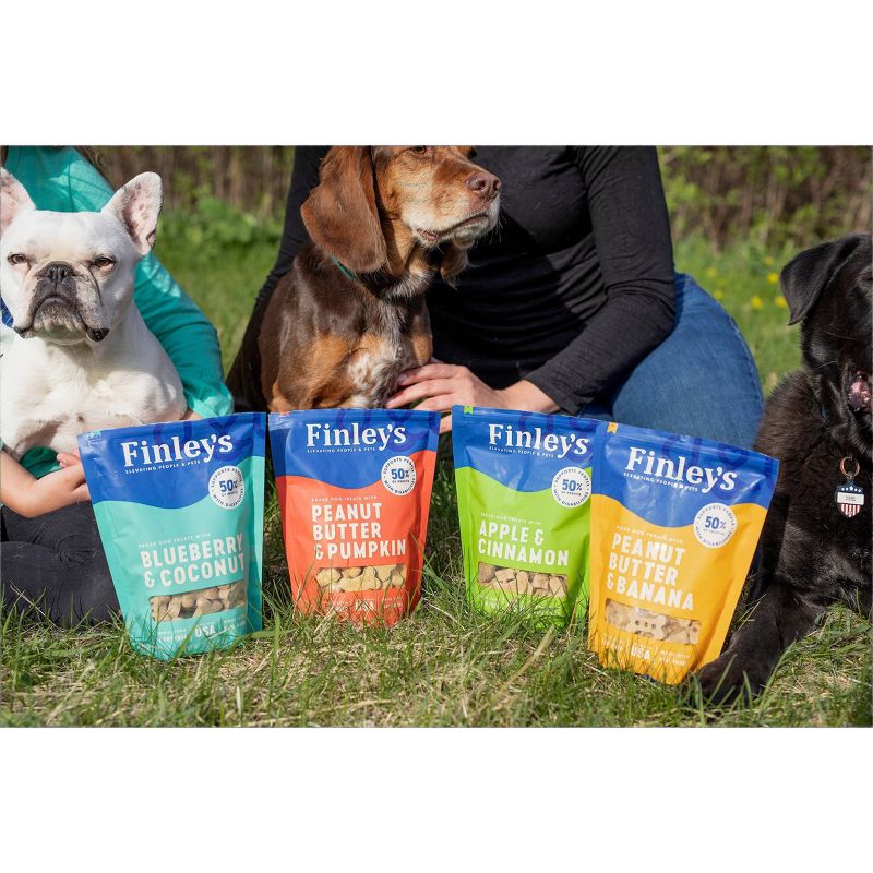 Finley's All Natural Variety Pack Biscuit Dog Treats - 4pk