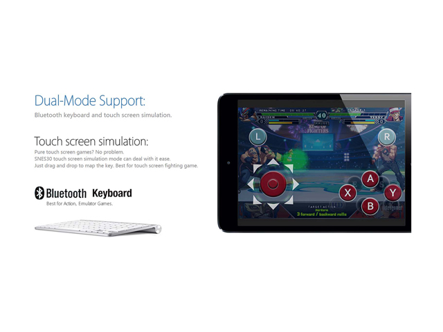 8Bitdo Lite Bluetooth Gamepad for Nintendo Switch Lite, Nintendo Switch & Windows (Turquoise Edition)