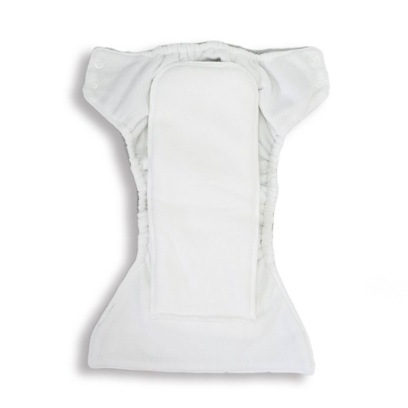 Charlie Banana 5pk Reusable All-in-One Cloth Diapers - New Tango Mango