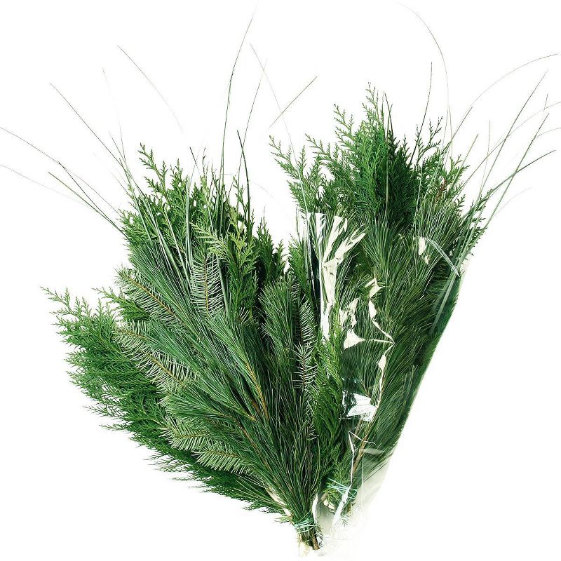 Live Fresh Cut Pacific Northwest Evergreen Mixed Holiday Arrangement Bouquet - Van Zyverden