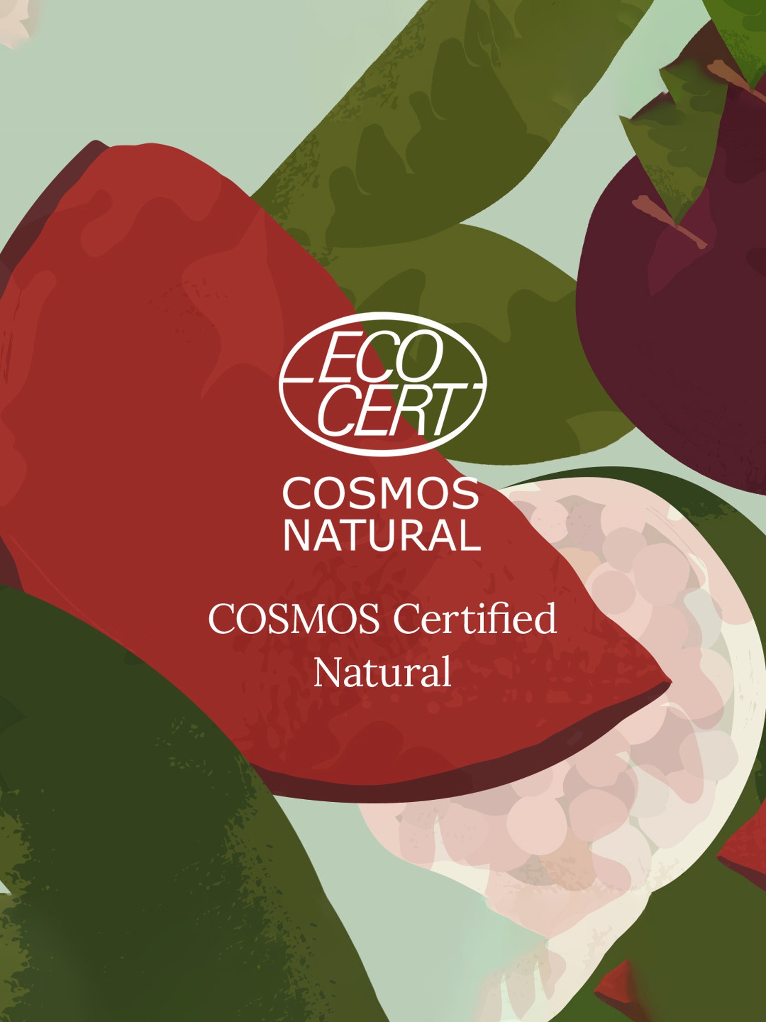 Rivona Naturals Beetroot Lip Balm - 8 gm