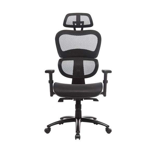 Ergonomic Office Chair Mesh Chair Computer Chair Desk Chair High Back Chair with Adjustable Headrest and Armrest