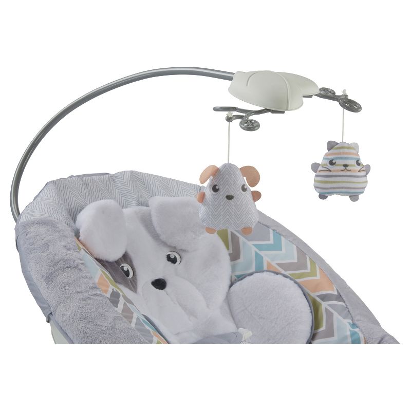 ​Fisher-Price Baby Bouncer