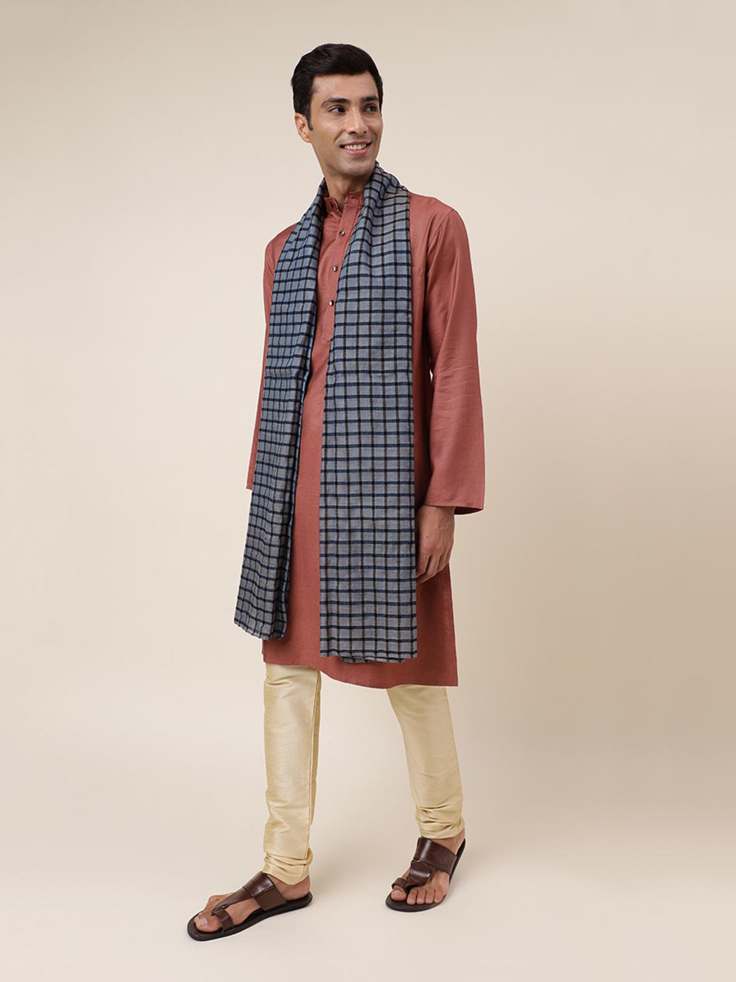 Fabindia Multicolor Check Stole
