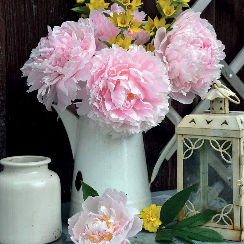 The Gifted Stationery 2021 Wall Calendar 12" x 12" Monthly View, Shabby Chic, 16-Month, with 180 Reminder Stickers