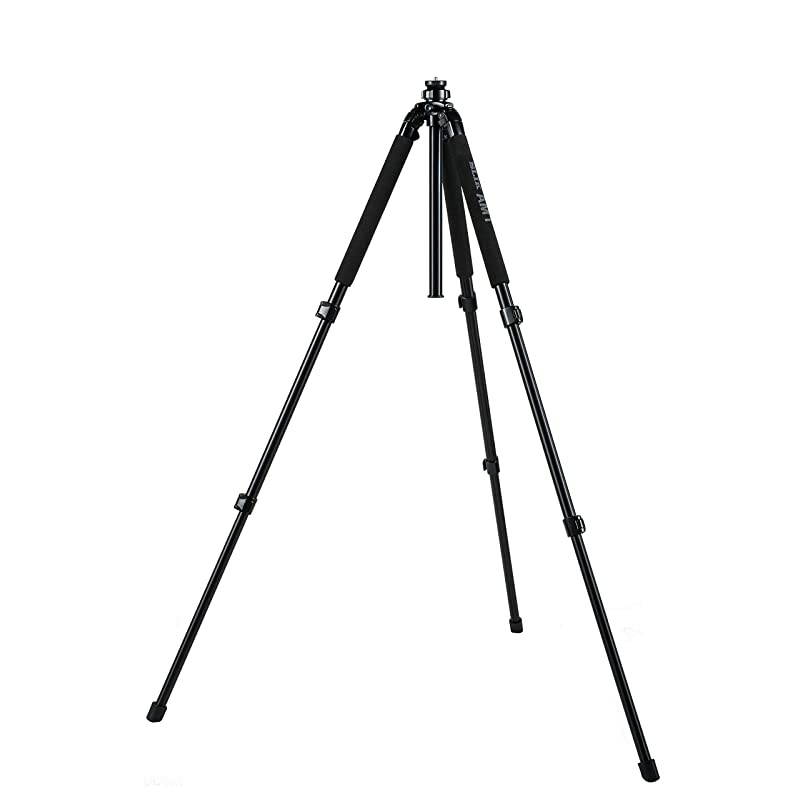 Pro 700 DX Tripod Legs - Black