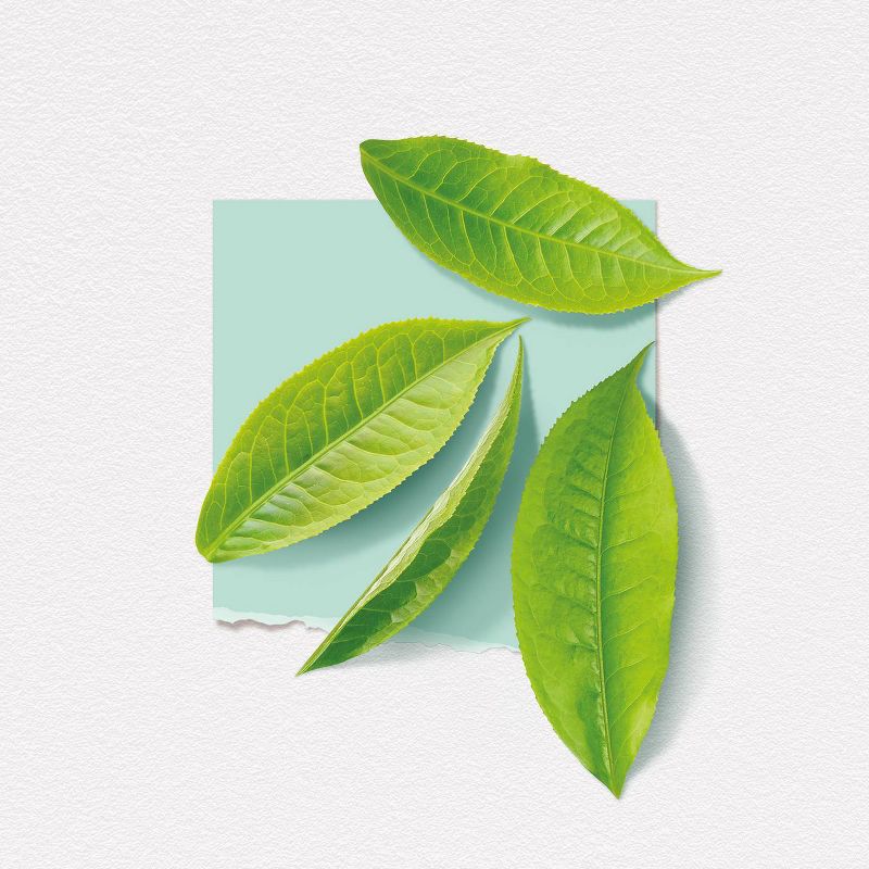 MoonRay Bloom by Pacifica Women's Perfume